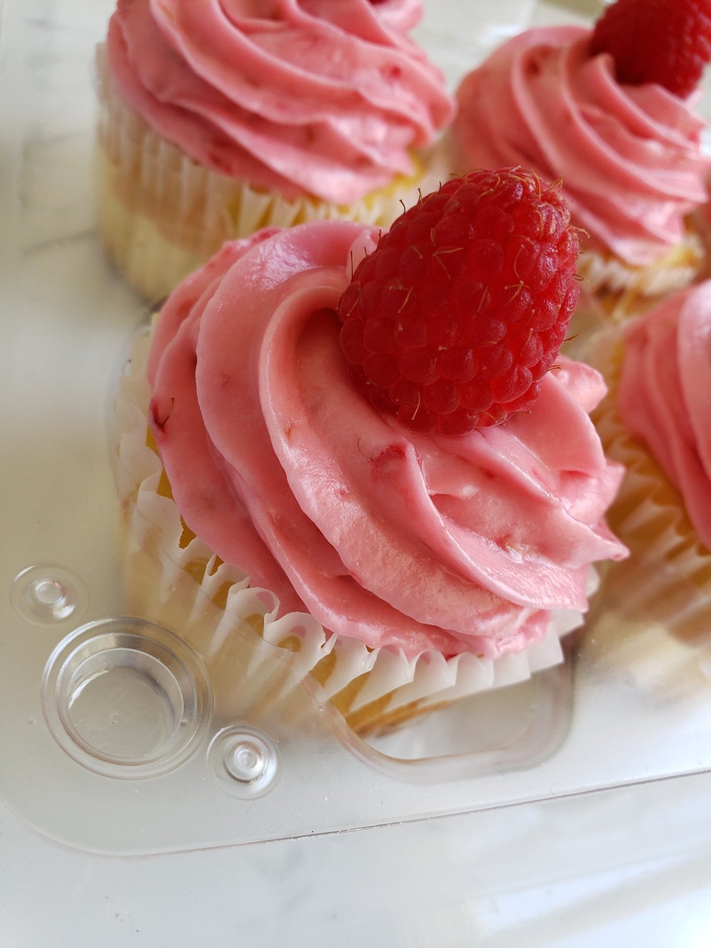 12 Count Cupcake Box - Elegant Impressions Bakery