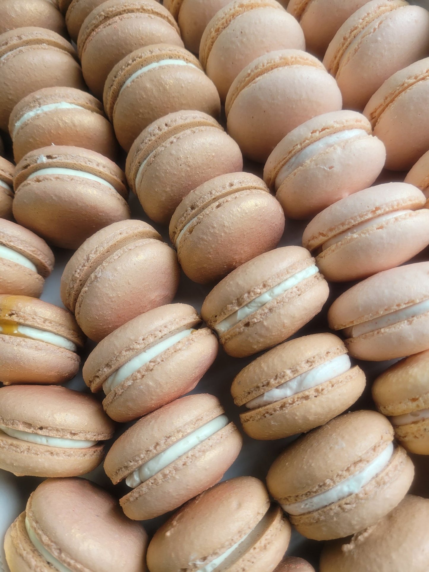 24 Count Macarons - Elegant Impressions Bakery