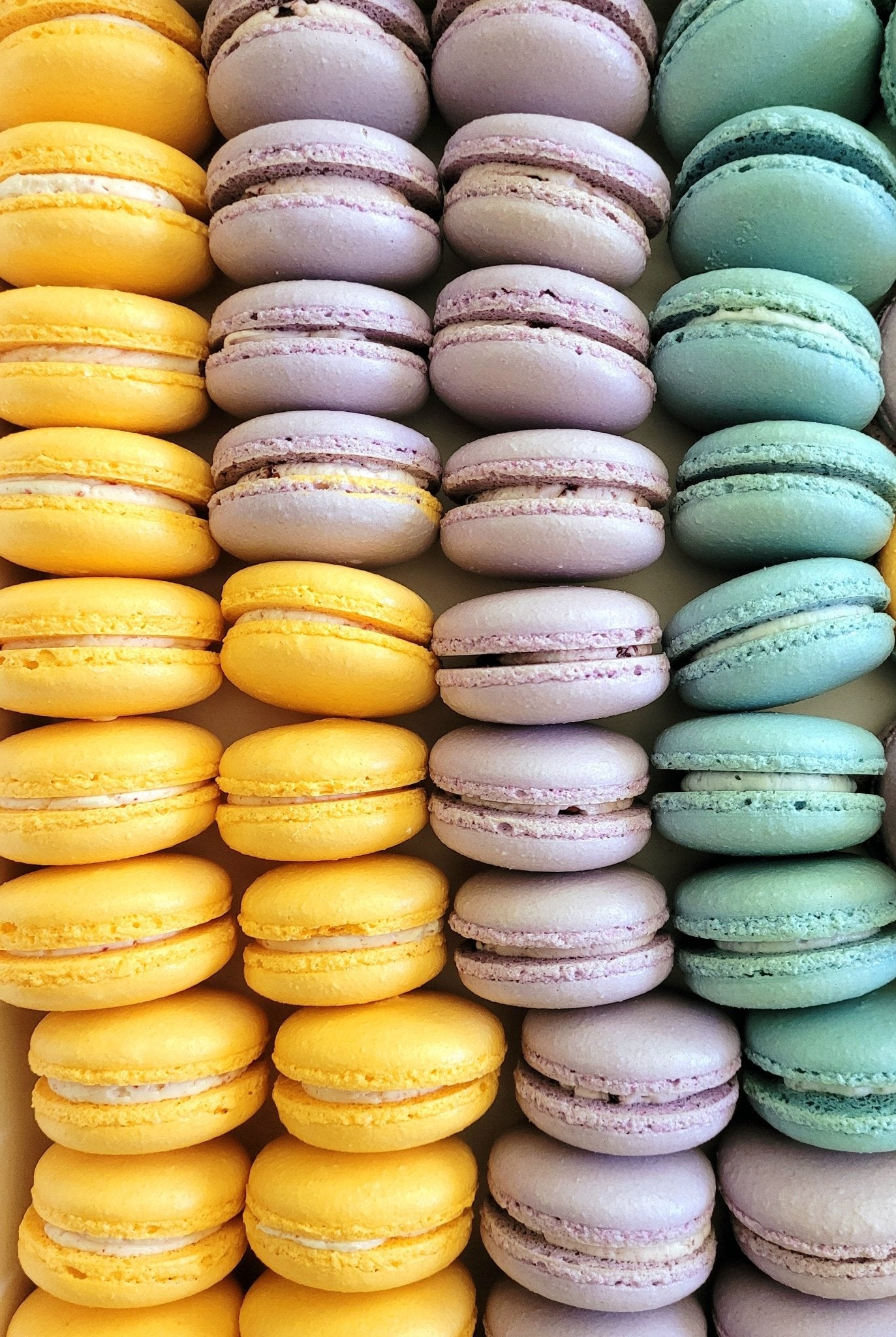 36 Count Macarons - Elegant Impressions Bakery