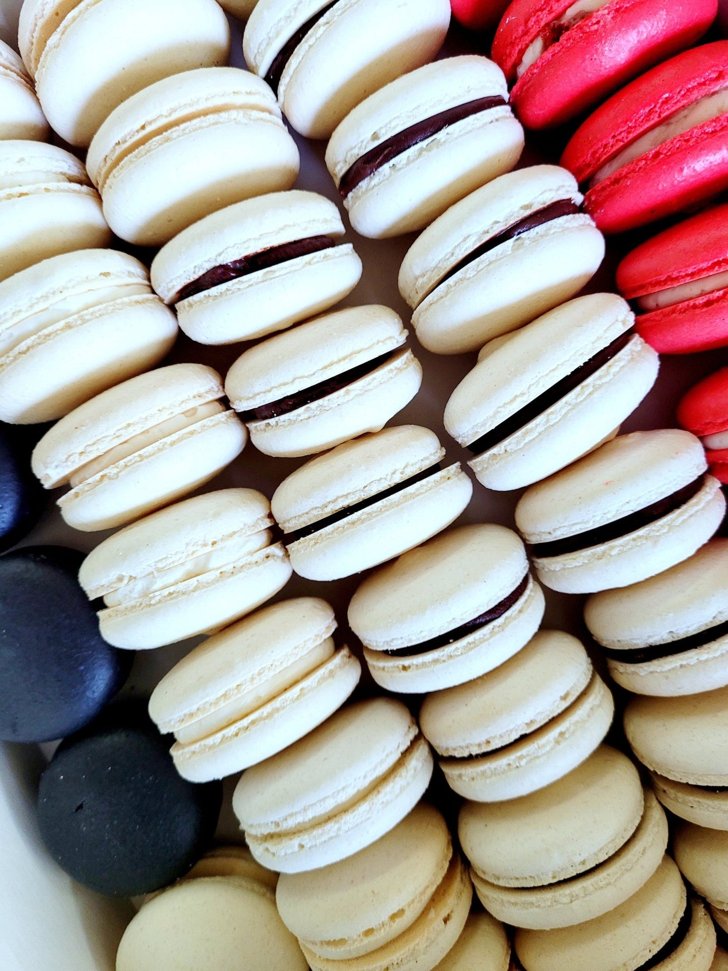 36 Count Macarons - Elegant Impressions Bakery