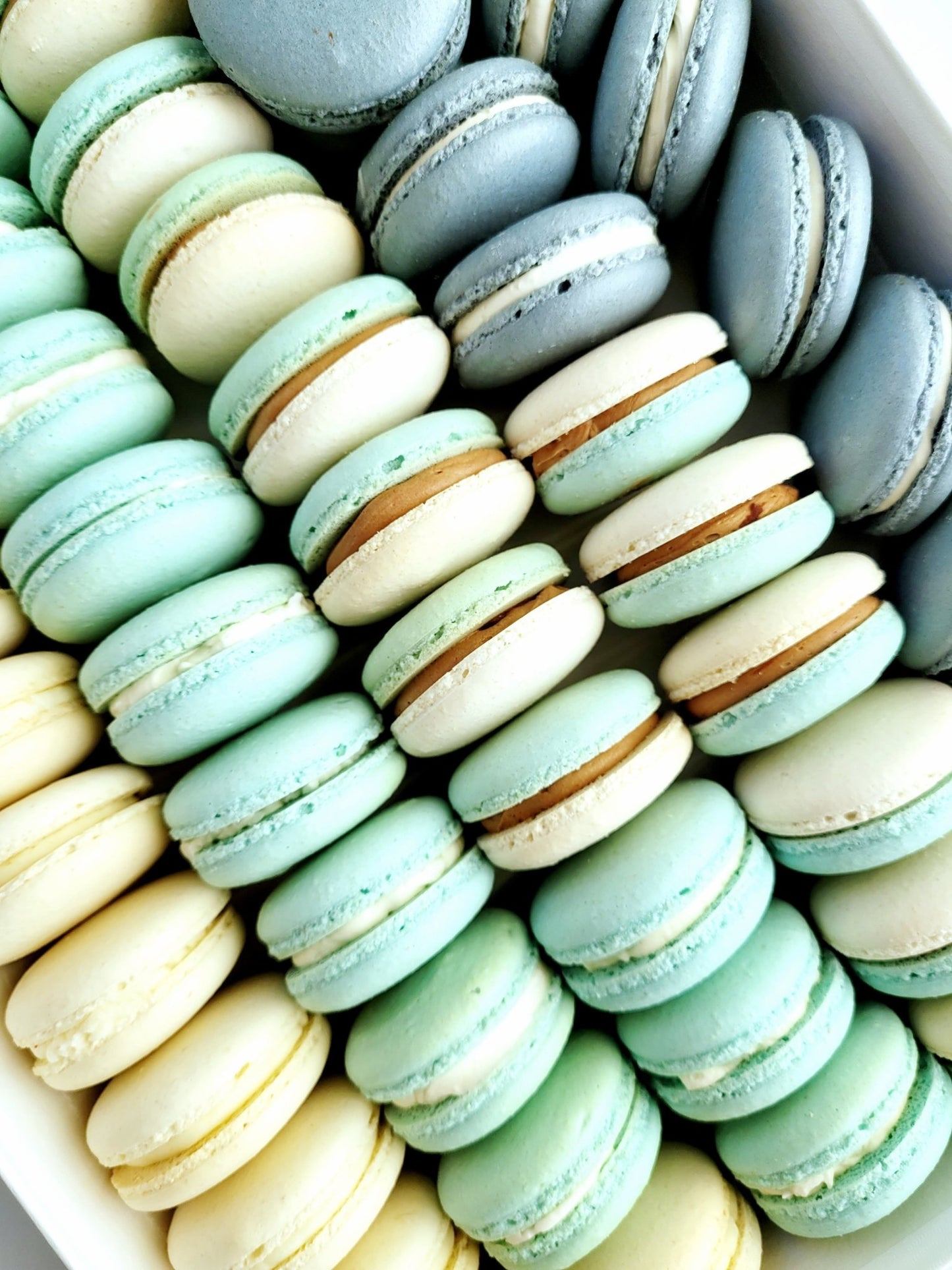 36 Count Macarons - Elegant Impressions Bakery