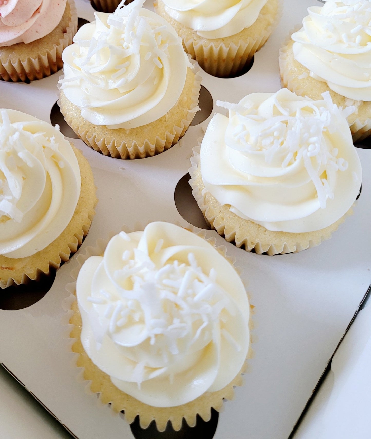 6 Count Cupcake Box - Elegant Impressions Bakery