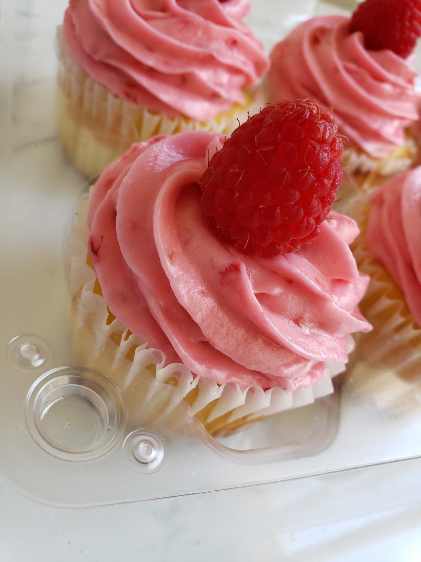 6 Count Cupcake Box - Elegant Impressions Bakery