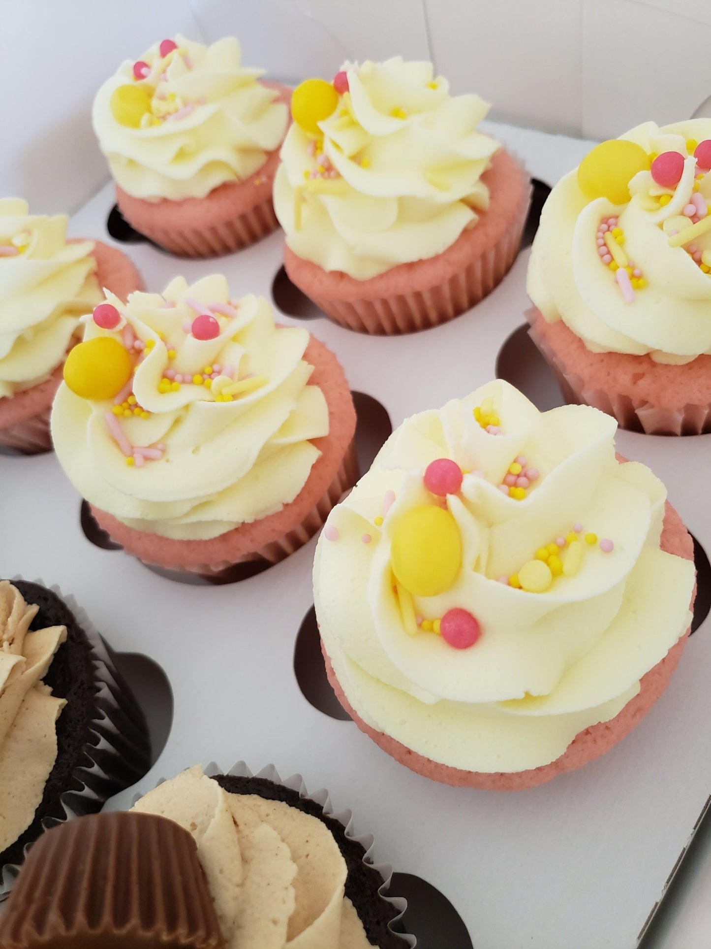 6 Count Cupcake Box - Elegant Impressions Bakery