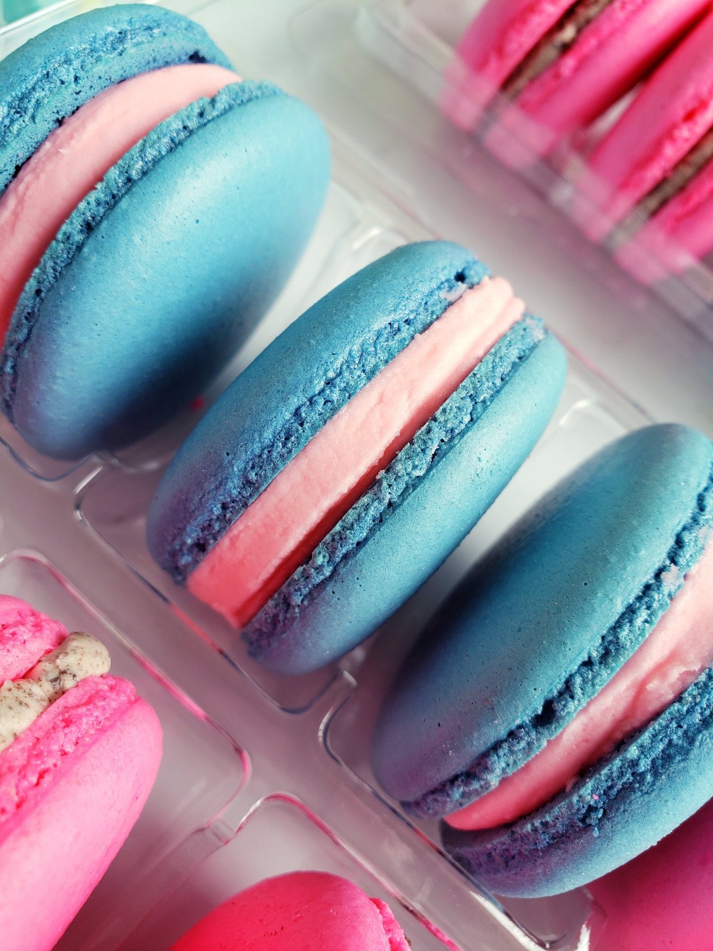 Assorted dozen macarons in vibrant colors.