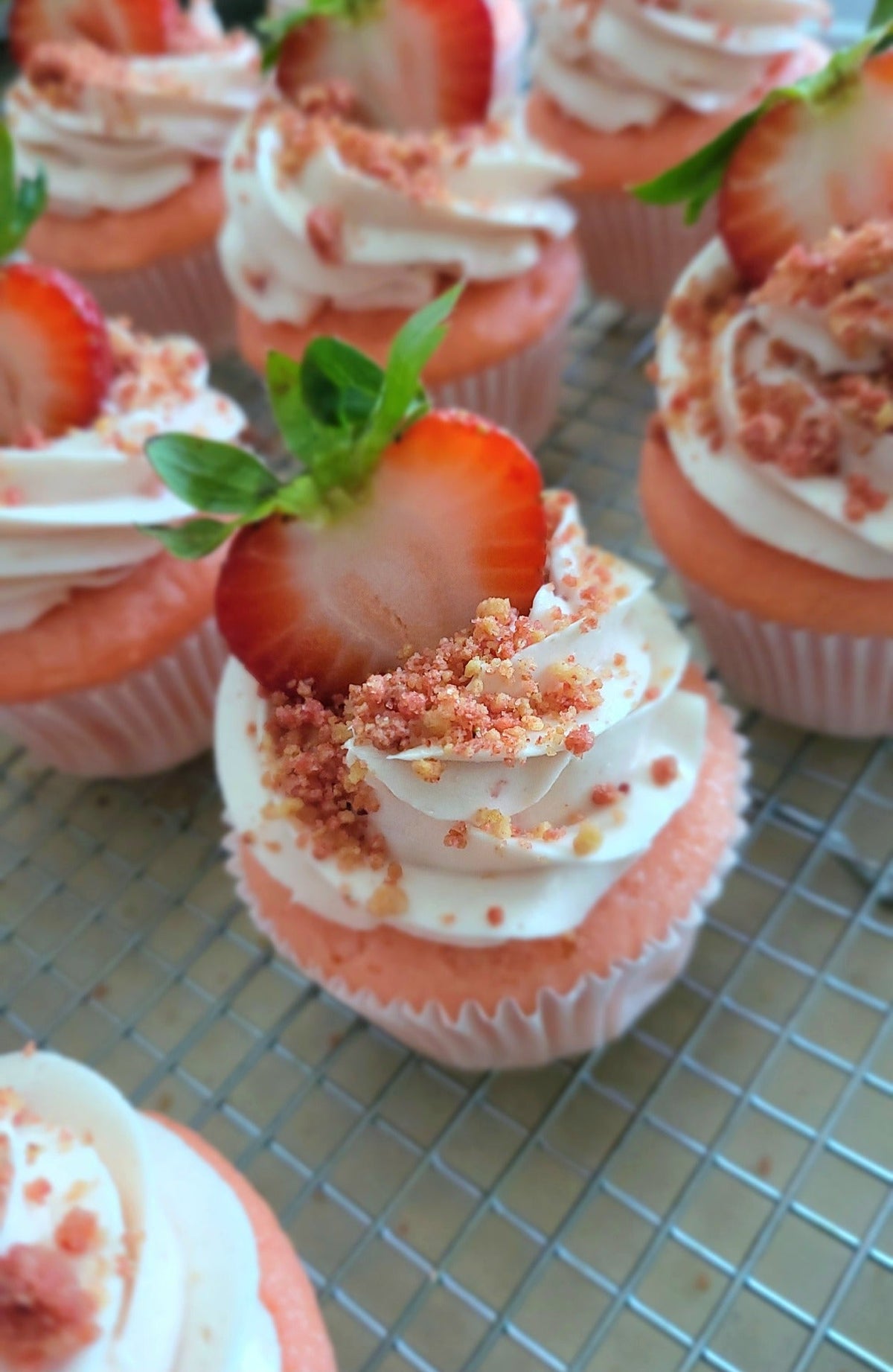 Celebration Dozen - Elegant Impressions Bakery