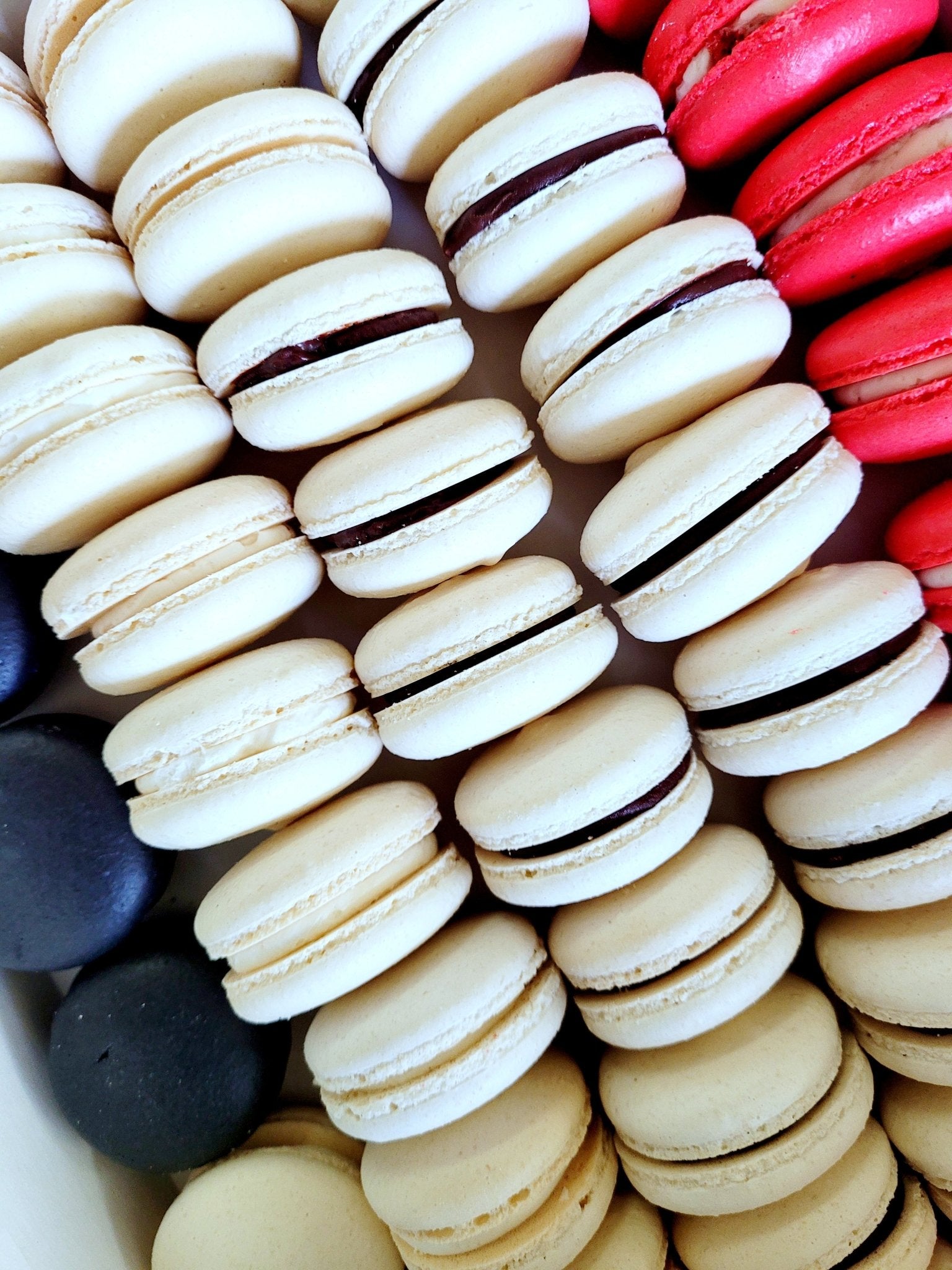 36 Count Macarons